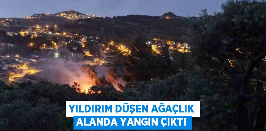 YILDIRIM DÜŞEN AĞAÇLIK ALANDA YANGIN ÇIKTI