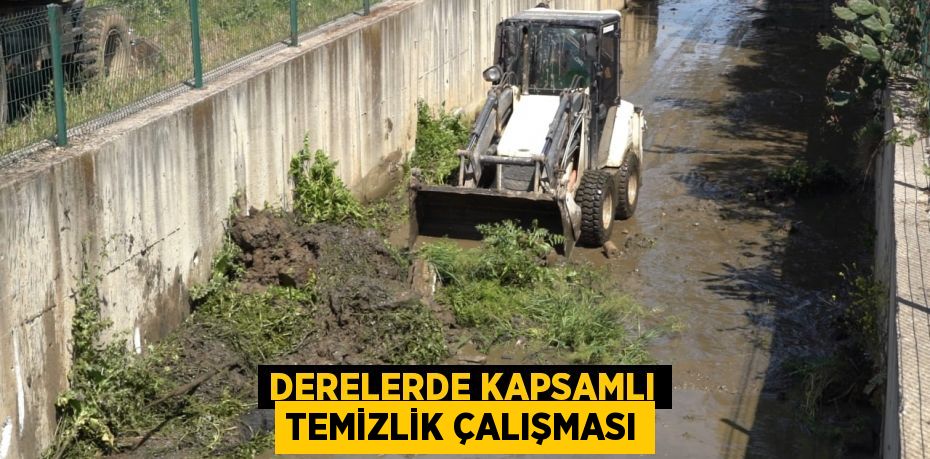 Derelerde kapsamlı temizlik çalışması