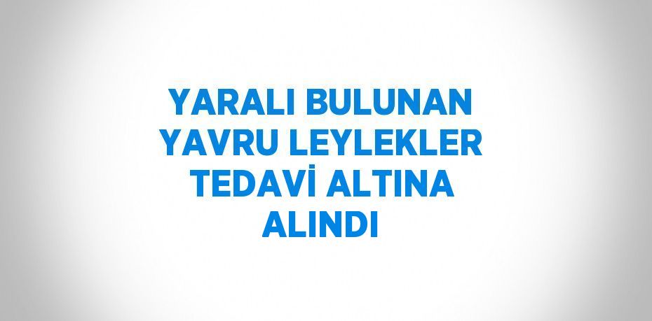 YARALI BULUNAN YAVRU LEYLEKLER TEDAVİ ALTINA ALINDI