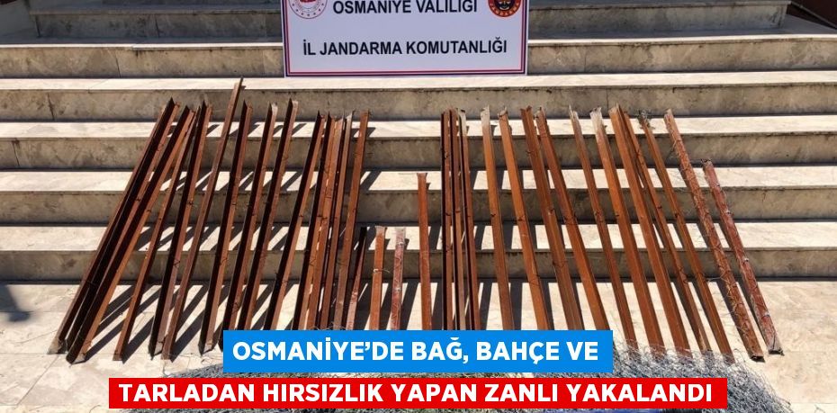 OSMANİYE’DE BAĞ, BAHÇE VE TARLADAN HIRSIZLIK YAPAN ZANLI YAKALANDI