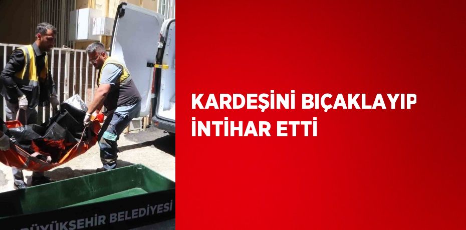 KARDEŞİNİ BIÇAKLAYIP İNTİHAR ETTİ