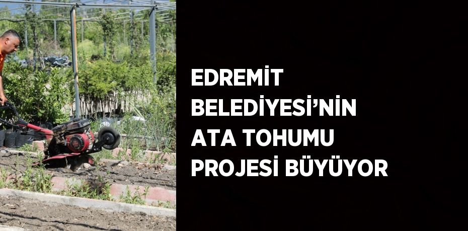 EDREMİT BELEDİYESİ’NİN ATA TOHUMU PROJESİ BÜYÜYOR