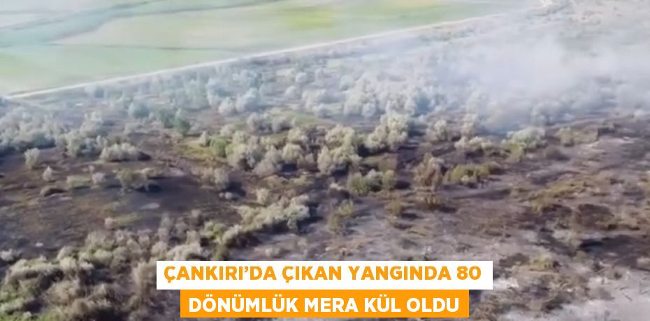 ÇANKIRI’DA ÇIKAN YANGINDA 80 DÖNÜMLÜK MERA KÜL OLDU