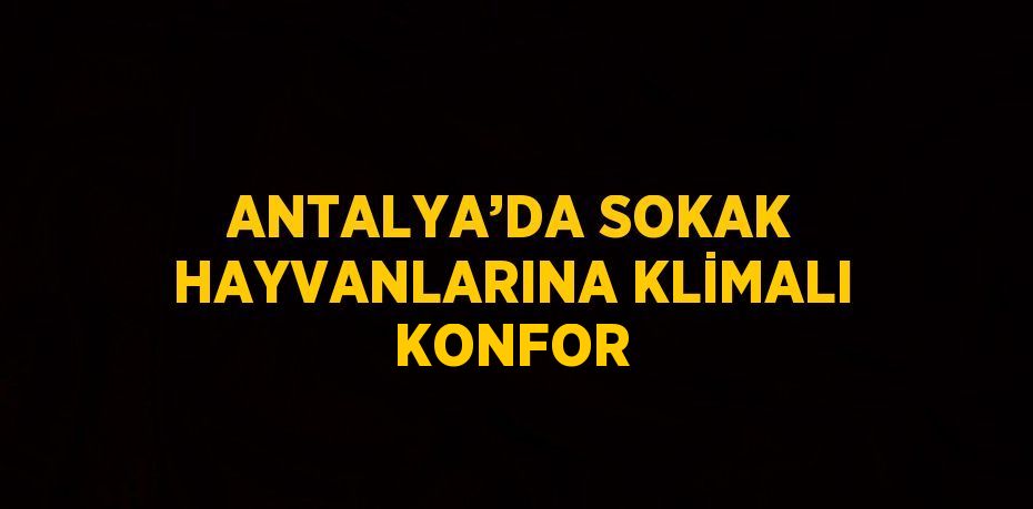 ANTALYA’DA SOKAK HAYVANLARINA KLİMALI KONFOR