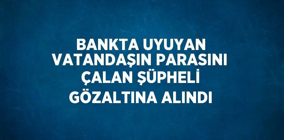 BANKTA UYUYAN VATANDAŞIN PARASINI ÇALAN ŞÜPHELİ GÖZALTINA ALINDI