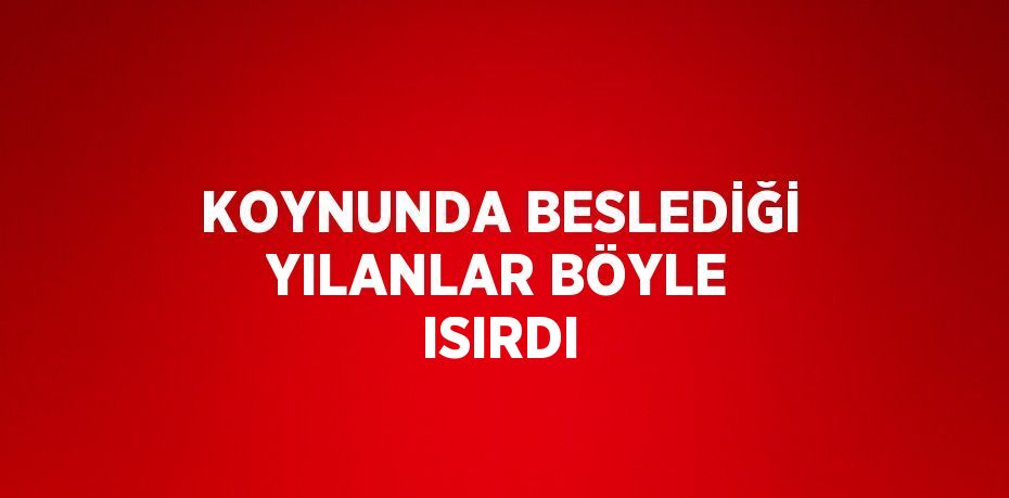 KOYNUNDA BESLEDİĞİ YILANLAR BÖYLE ISIRDI