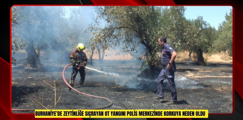 Burhaniye’de zeytinliğe sıçrayan ot yangını polis merkezinde korkuya neden oldu  