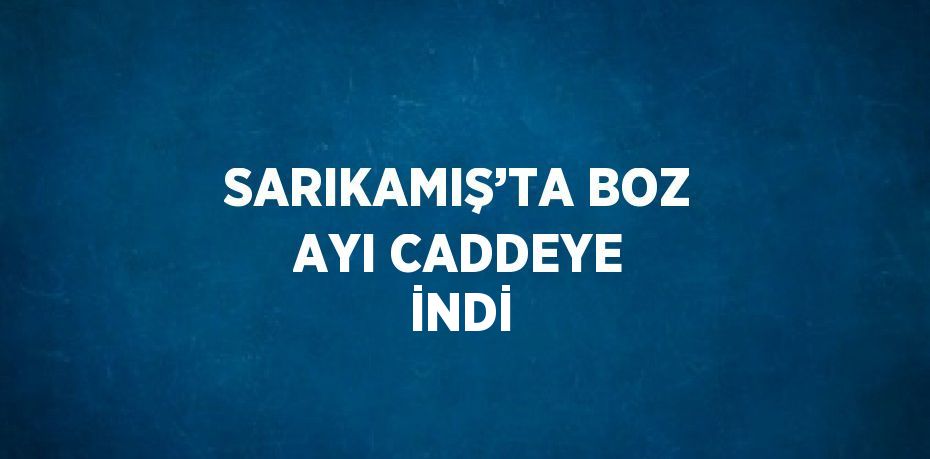 SARIKAMIŞ’TA BOZ AYI CADDEYE İNDİ