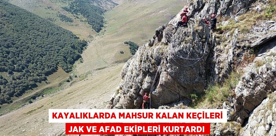 KAYALIKLARDA MAHSUR KALAN KEÇİLERİ JAK VE AFAD EKİPLERİ KURTARDI