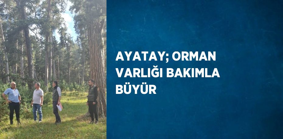 AYATAY; ORMAN VARLIĞI BAKIMLA BÜYÜR