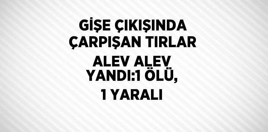 GİŞE ÇIKIŞINDA ÇARPIŞAN TIRLAR ALEV ALEV YANDI:1 ÖLÜ, 1 YARALI