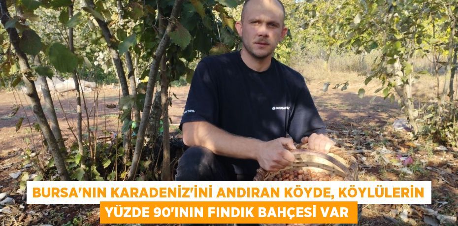 Bursa'nın Karadeniz'ini andıran köyde, köylülerin yüzde 90'ının fındık bahçesi var