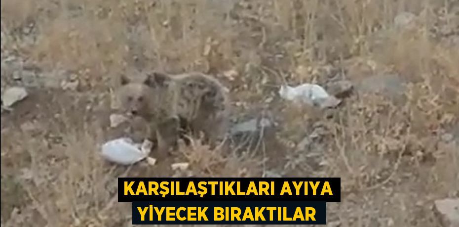 KARŞILAŞTIKLARI AYIYA YİYECEK BIRAKTILAR