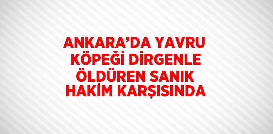 ANKARA’DA YAVRU KÖPEĞİ DİRGENLE ÖLDÜREN SANIK HAKİM KARŞISINDA