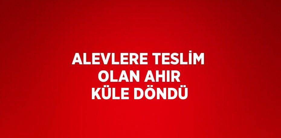 ALEVLERE TESLİM OLAN AHIR KÜLE DÖNDÜ