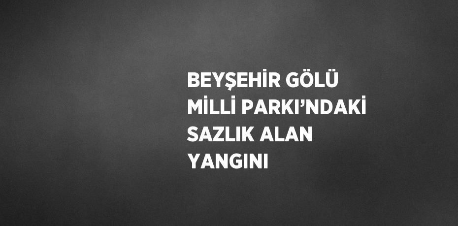 BEYŞEHİR GÖLÜ MİLLİ PARKI’NDAKİ SAZLIK ALAN YANGINI