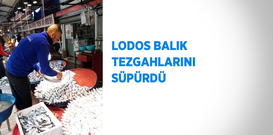 LODOS BALIK TEZGAHLARINI SÜPÜRDÜ