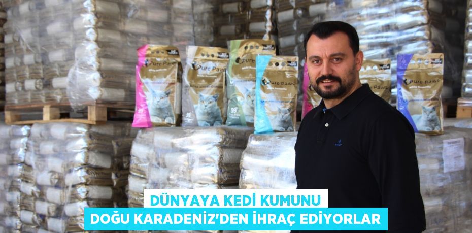 Dünyaya kedi kumunu Doğu Karadeniz'den ihraç ediyorlar