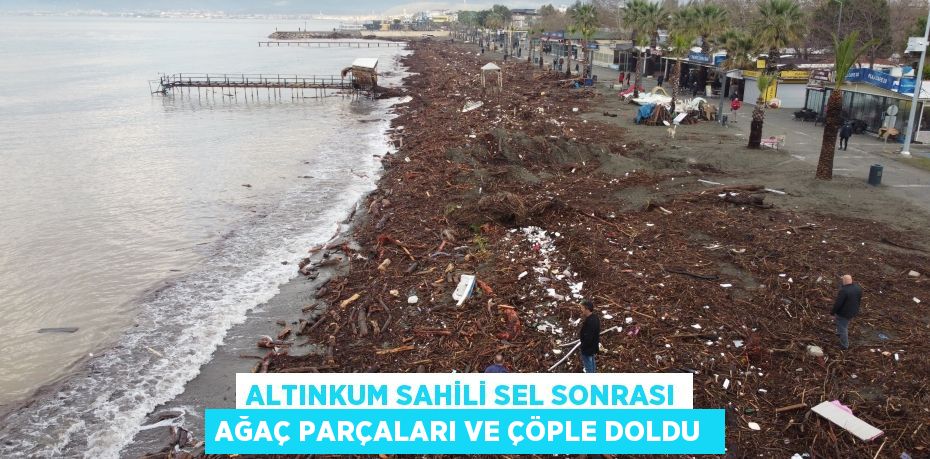 Altınkum sahili sel sonrası ağaç parçaları ve çöple doldu 