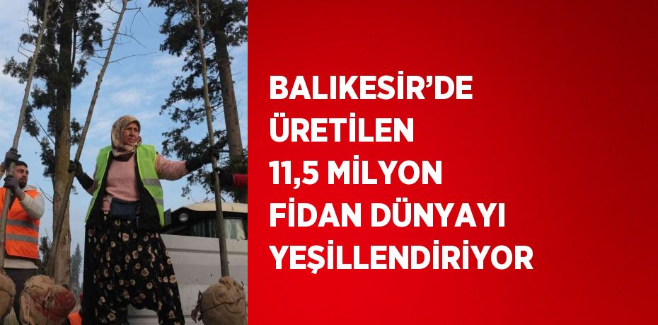 BALIKESİR’DE ÜRETİLEN 11,5 MİLYON FİDAN DÜNYAYI YEŞİLLENDİRİYOR