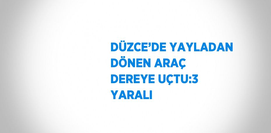 DÜZCE’DE YAYLADAN DÖNEN ARAÇ DEREYE UÇTU:3 YARALI