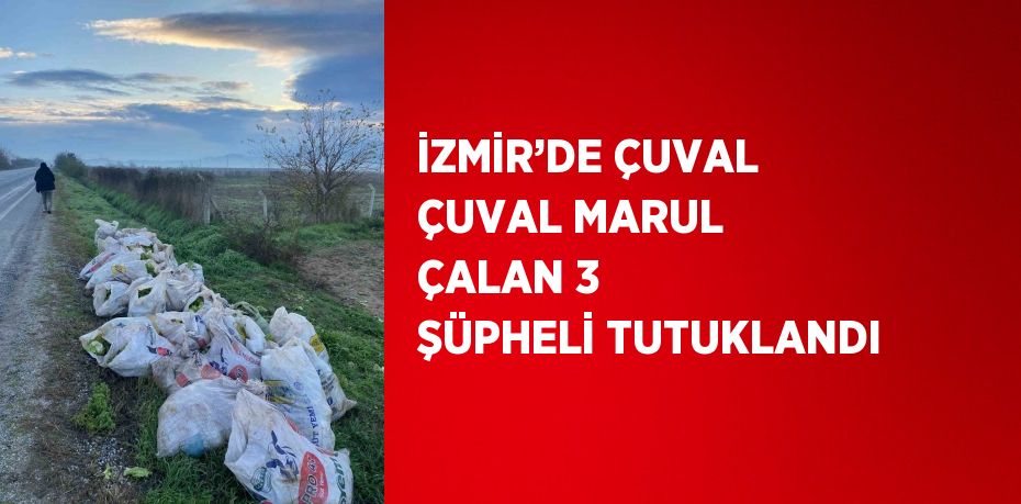 İZMİR’DE ÇUVAL ÇUVAL MARUL ÇALAN 3 ŞÜPHELİ TUTUKLANDI