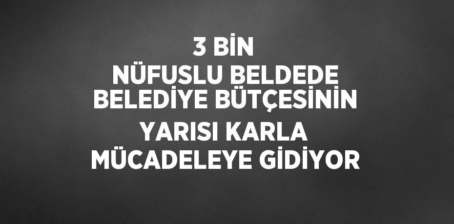 3 BİN NÜFUSLU BELDEDE BELEDİYE BÜTÇESİNİN YARISI KARLA MÜCADELEYE GİDİYOR