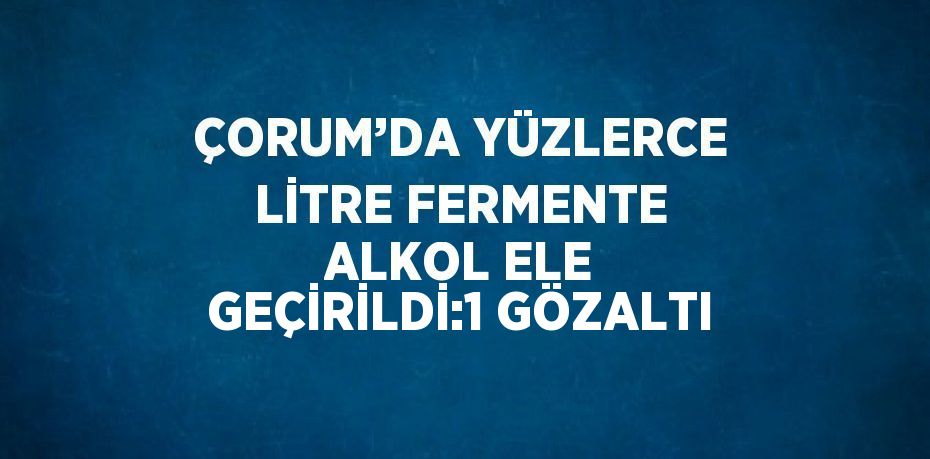 ÇORUM’DA YÜZLERCE LİTRE FERMENTE ALKOL ELE GEÇİRİLDİ:1 GÖZALTI