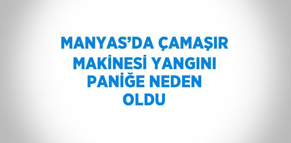 MANYAS’DA ÇAMAŞIR MAKİNESİ YANGINI PANİĞE NEDEN OLDU