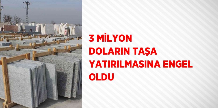 3 MİLYON DOLARIN TAŞA YATIRILMASINA ENGEL OLDU