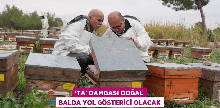 'TA' damgası doğal balda yol gösterici olacak