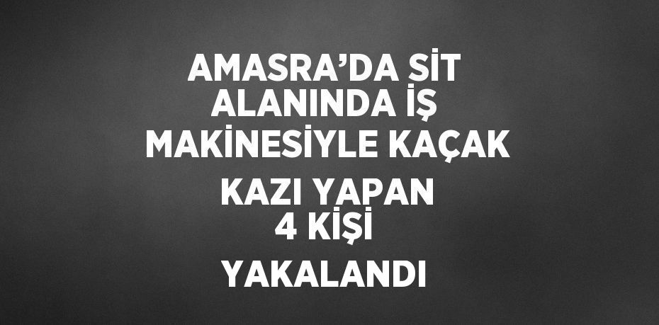 AMASRA’DA SİT ALANINDA İŞ MAKİNESİYLE KAÇAK KAZI YAPAN 4 KİŞİ YAKALANDI