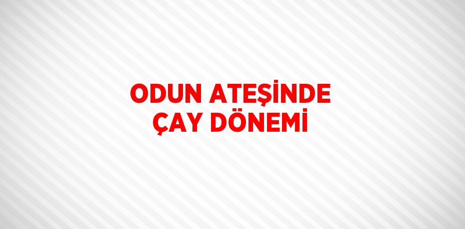 ODUN ATEŞİNDE ÇAY DÖNEMİ