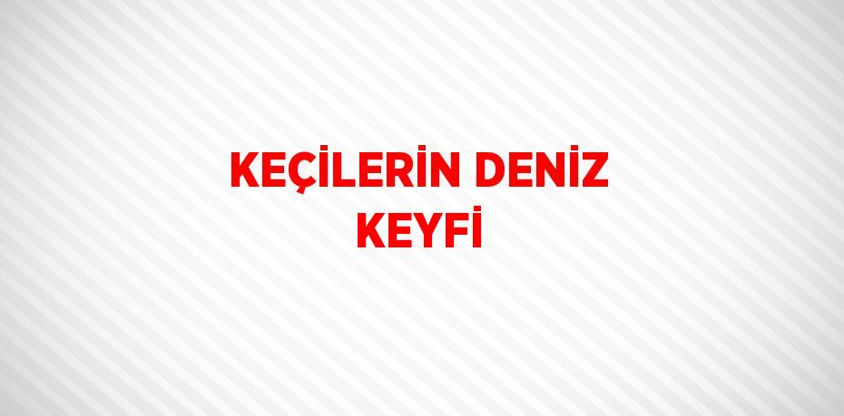 KEÇİLERİN DENİZ KEYFİ