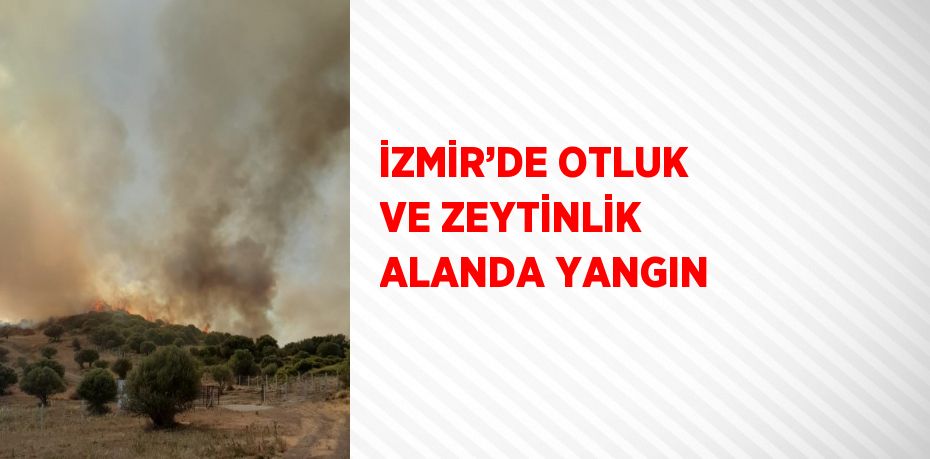 İZMİR’DE OTLUK VE ZEYTİNLİK ALANDA YANGIN