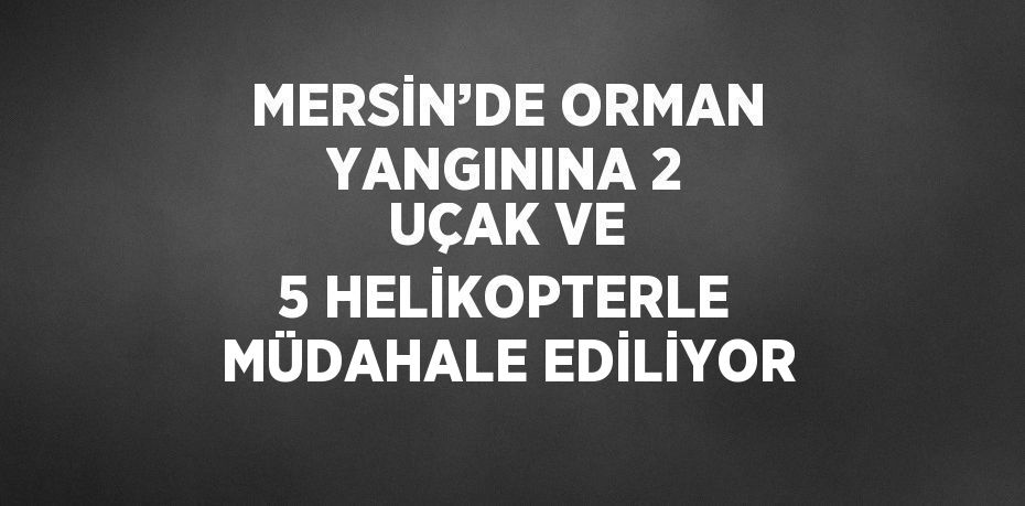 MERSİN’DE ORMAN YANGININA 2 UÇAK VE 5 HELİKOPTERLE MÜDAHALE EDİLİYOR