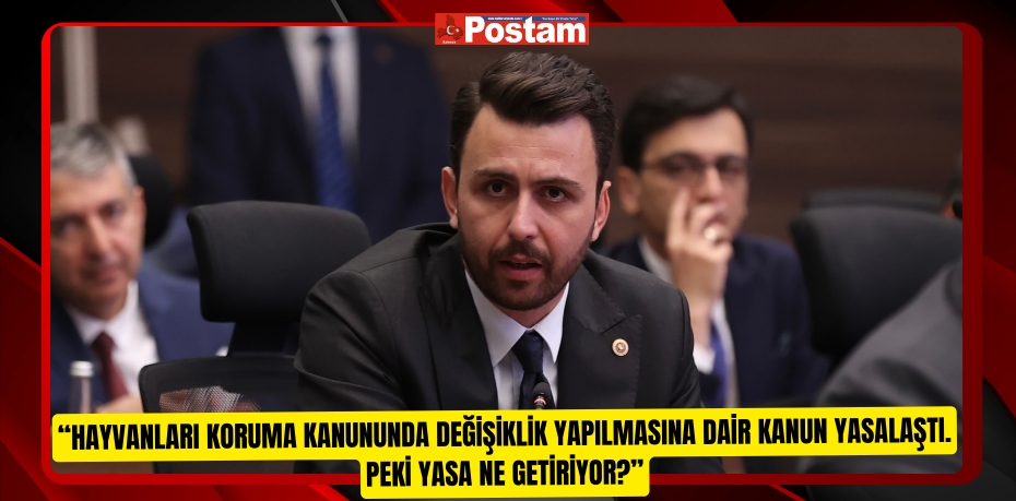 AK Parti Balıkesir Milletvekili Ali Taylan Öztaylan; “Hayvanları Koruma Kanununda Değişiklik Yapılmasına Dair Kanun Yasalaştı. Peki Yasa Ne Getiriyor?”