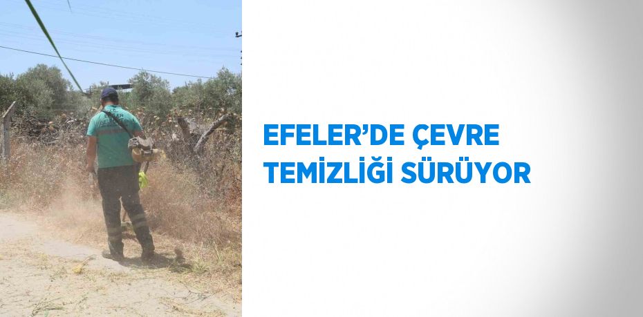 EFELER’DE ÇEVRE TEMİZLİĞİ SÜRÜYOR