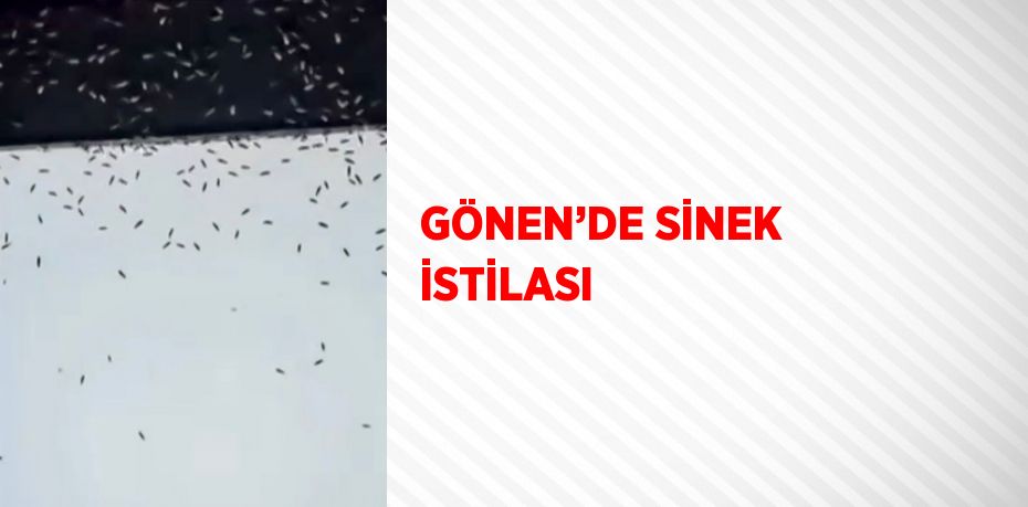 GÖNEN’DE SİNEK İSTİLASI