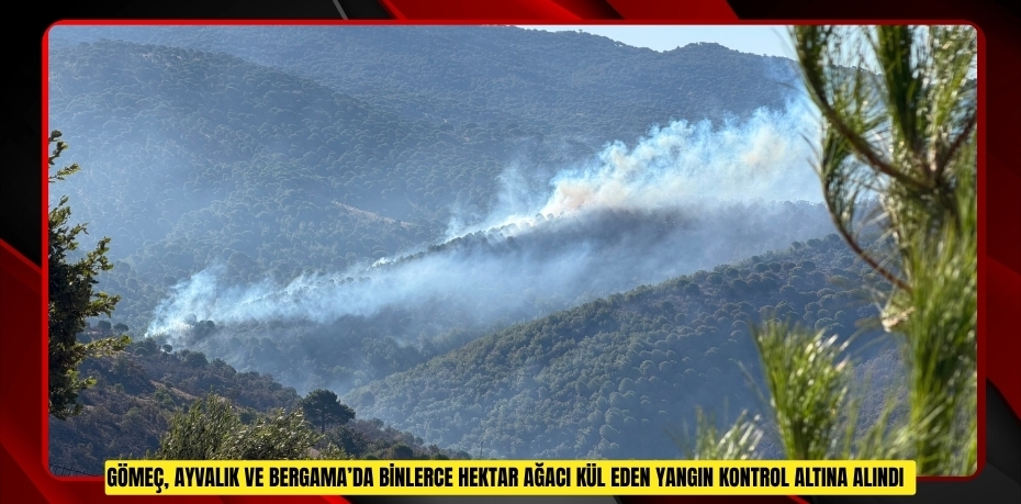 Gömeç, Ayvalık ve Bergama’da binlerce hektar ağacı kül eden yangın kontrol altına alındı