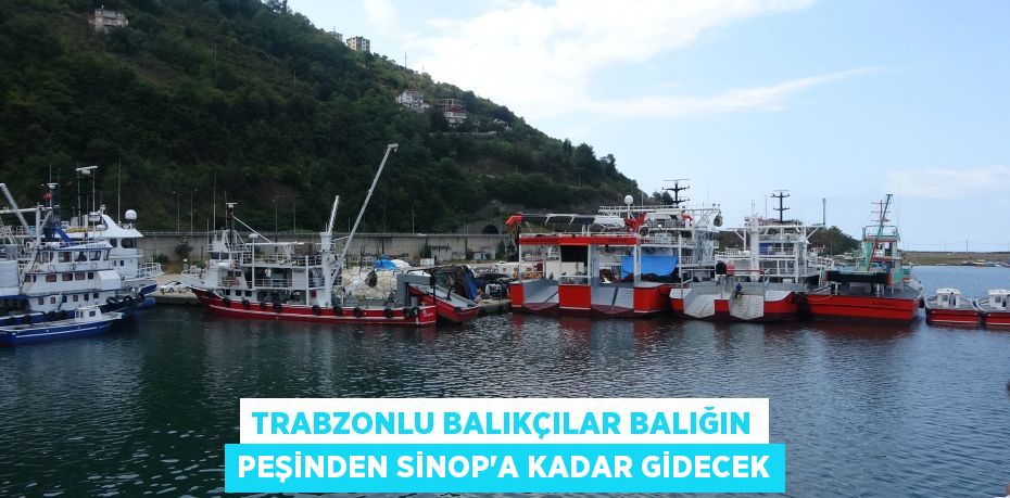 Trabzonlu balıkçılar balığın peşinden Sinop'a kadar gidecek