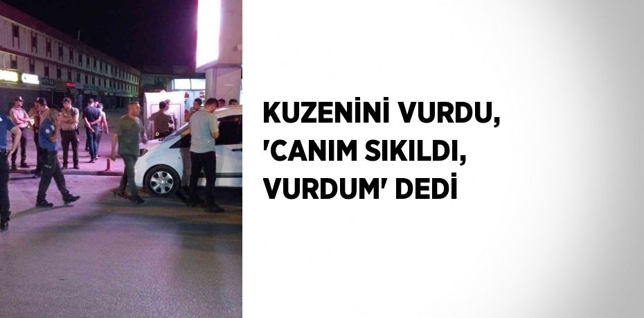 KUZENİNİ VURDU, 'CANIM SIKILDI, VURDUM' DEDİ