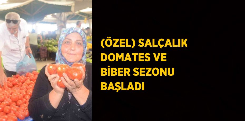 (ÖZEL) SALÇALIK DOMATES VE BİBER SEZONU BAŞLADI