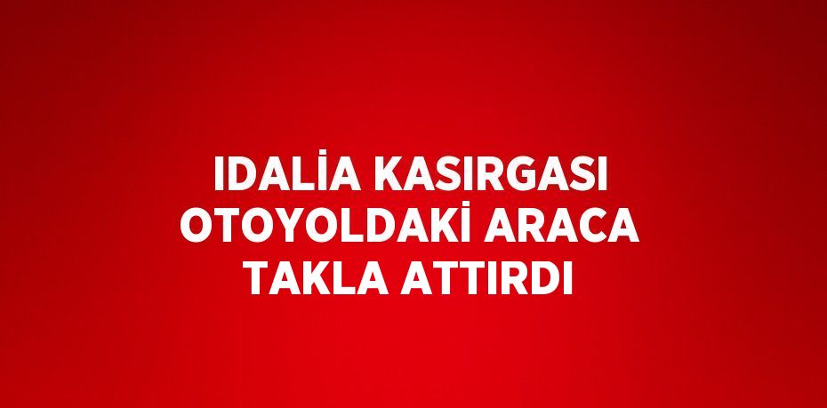 IDALİA KASIRGASI OTOYOLDAKİ ARACA TAKLA ATTIRDI