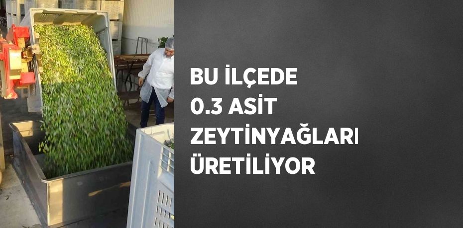 BU İLÇEDE 0.3 ASİT ZEYTİNYAĞLARI ÜRETİLİYOR