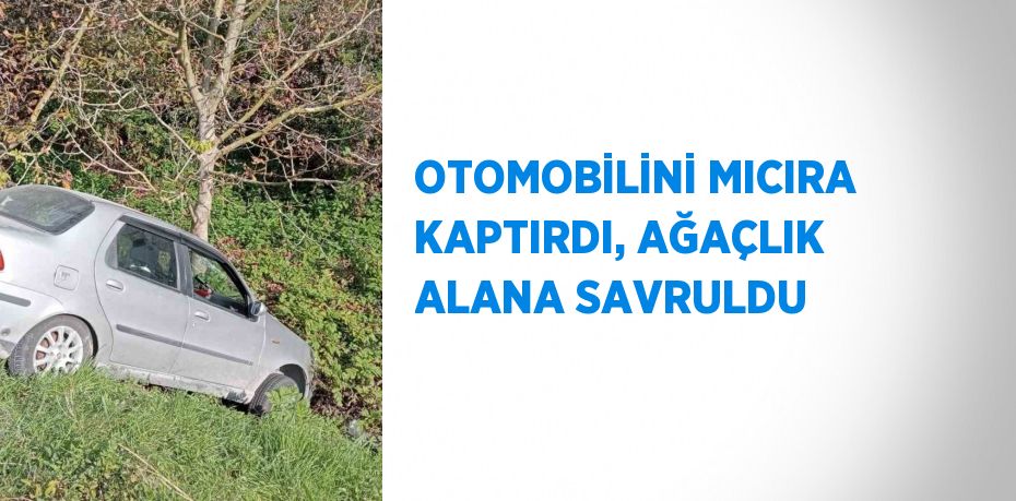 OTOMOBİLİNİ MICIRA KAPTIRDI, AĞAÇLIK ALANA SAVRULDU