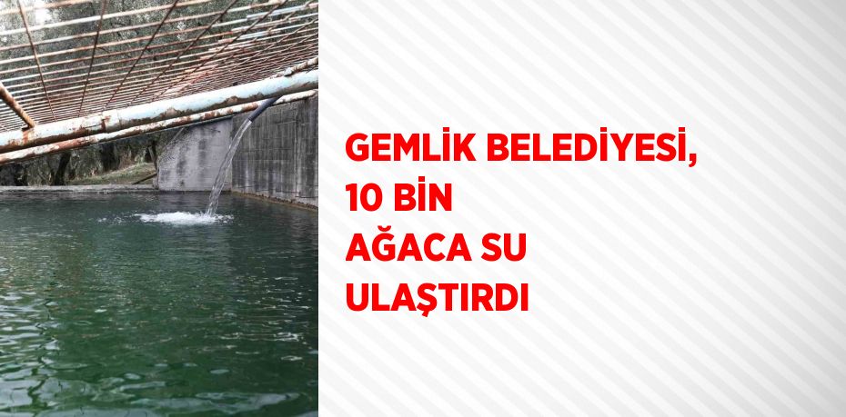 GEMLİK BELEDİYESİ, 10 BİN AĞACA SU ULAŞTIRDI