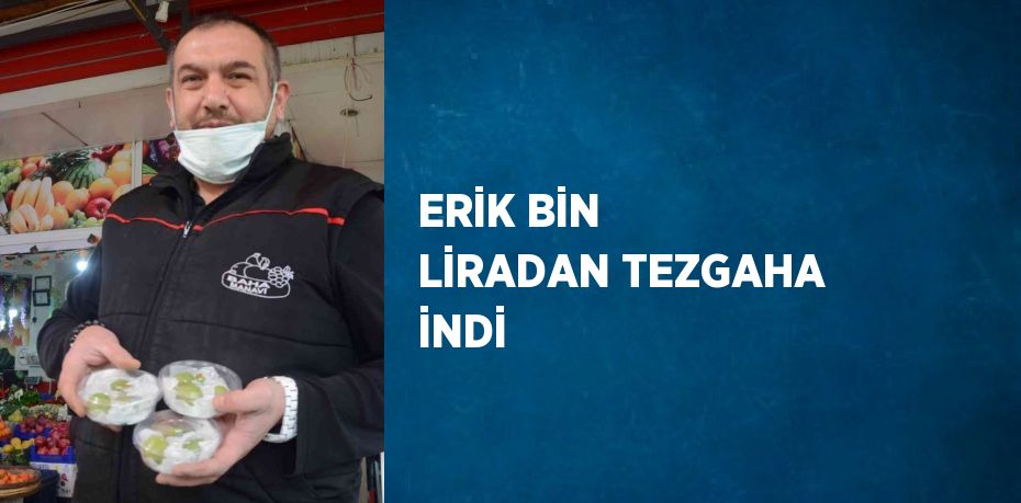 ERİK BİN LİRADAN TEZGAHA İNDİ