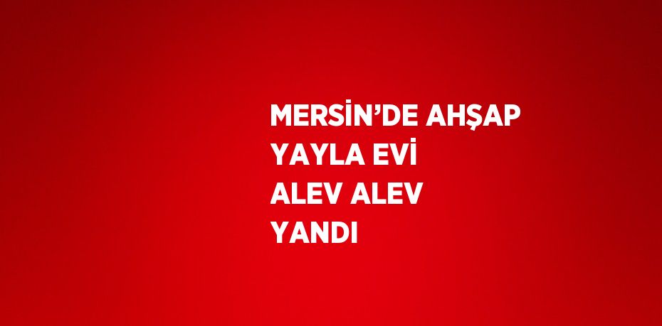 MERSİN’DE AHŞAP YAYLA EVİ ALEV ALEV YANDI