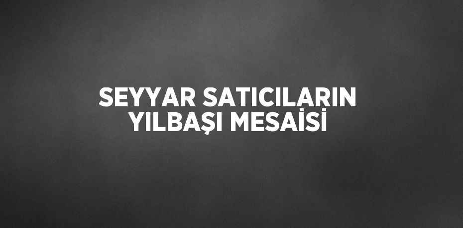 SEYYAR SATICILARIN YILBAŞI MESAİSİ